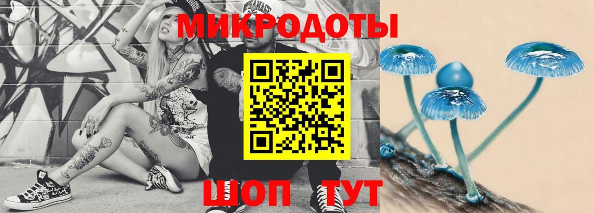 Галлюциногенные грибы Psilocybe  Вход с VPN  Рославль 